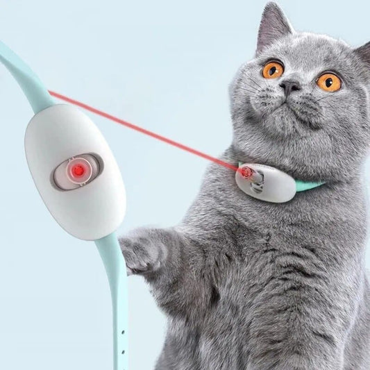Pack ahorro del collar láser interactivo para gatos