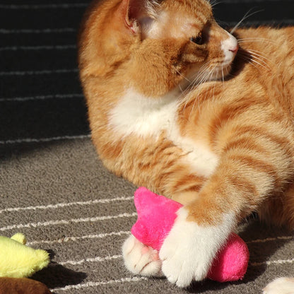 Peluche de Juguete con Hierba Gatera (Catnip)