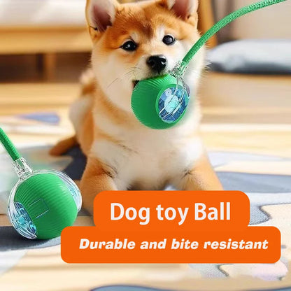 Pelota interactiva para perros pequeños y cachorros