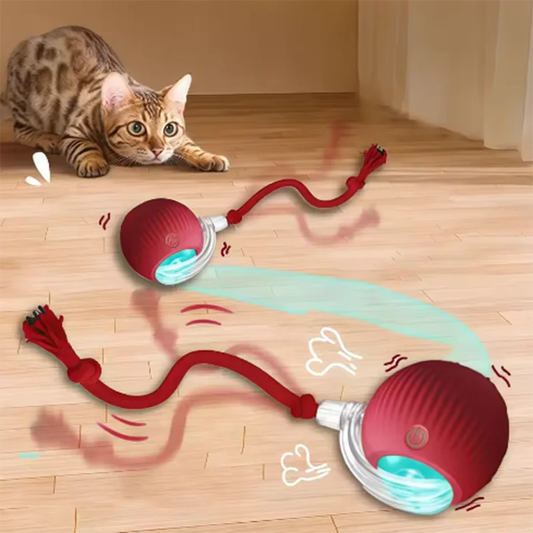 Pelota interactiva para gatos con movimiento automático