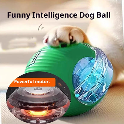 Pelota interactiva para perros pequeños y cachorros