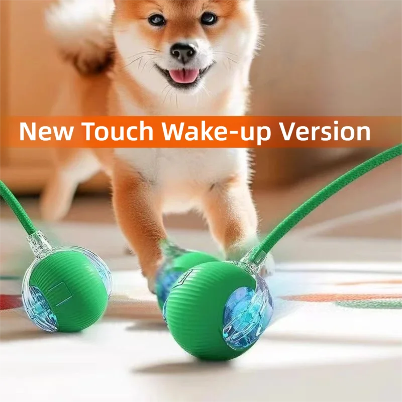 Pelota interactiva para perros pequeños y cachorros