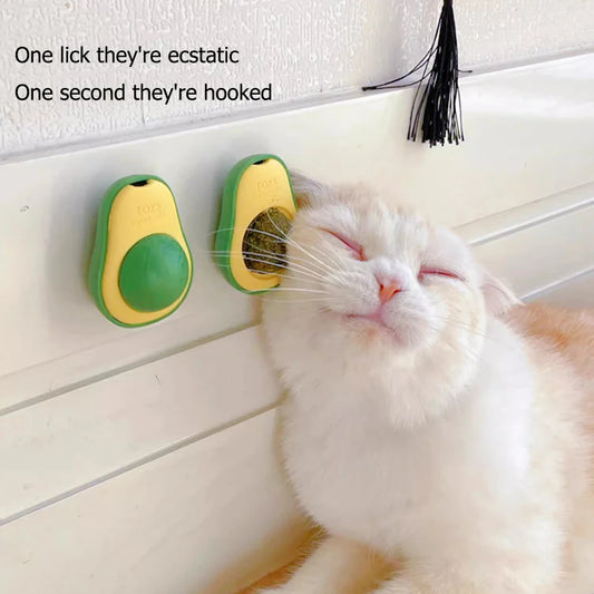 Bola de pared giratoria con hierba gatera para gatos