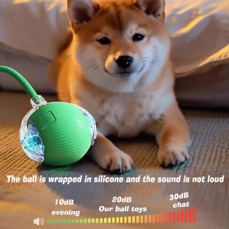Pelota interactiva para perros pequeños y cachorros